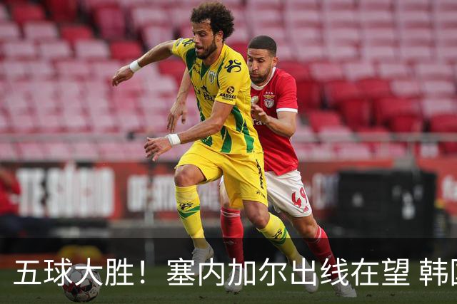 五球大胜！塞内加尔出线在望 韩国晋级仅剩理论希望