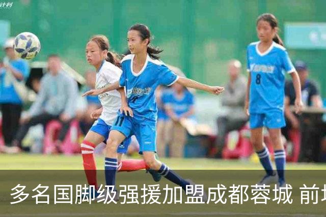 多名国脚级强援加盟成都蓉城 前场还有进人空间